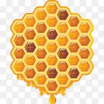 蜜蜂 西方蜜蜂 蜂巢