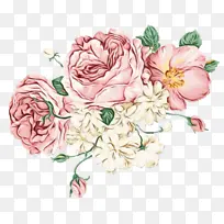 花卉 手机 阿迪达斯
