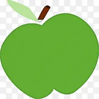 苹果 绘画 水果