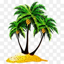 棕榈树 海滩 树