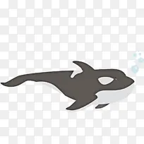 海豚 鲨鱼 卡通