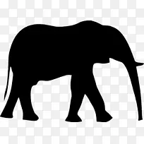 大象 非洲大象 印度大象