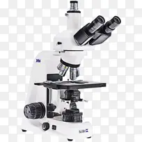 显微镜 实验室 病理学