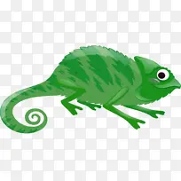 变色龙 青蛙 绿色