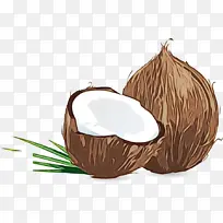 超级食品 椰子 树
