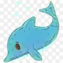 鲨鱼 海豚 鲸鱼