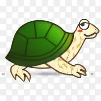 乌龟 海龟 动物
