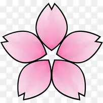 樱花 樱桃 花朵