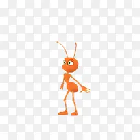 昆虫 蚂蚁 动物