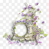 花卉设计 切花 紫色