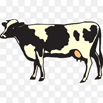 乳制品 牲畜 荷斯坦弗里西亚牛