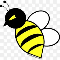 蜜蜂 高强度间歇训练 运动