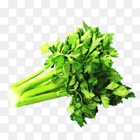 芹菜 食品 蔬菜