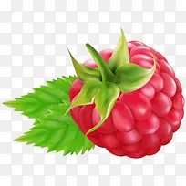 黑莓 覆盆子 水果