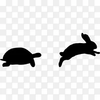 兔子 复活节兔子 兔子表演跳跃