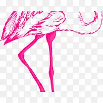 火烈鸟 绘画 粉色