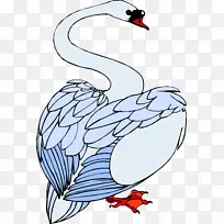 哑巴天鹅 鸟类插图 卡通