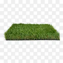人造草坪 合成草坪 草坪