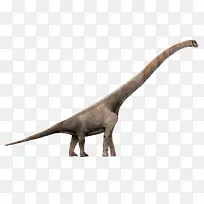 腕龙 磷灰石龙 恐龙大小