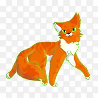 胡须 红狐 猫