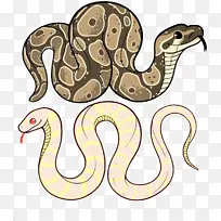 蛇 绘画 爬行动物