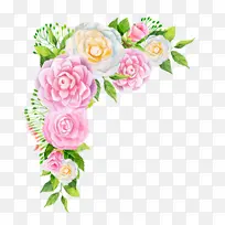 牡丹 玫瑰 粉色花朵