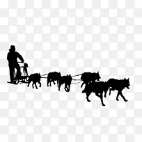 西伯利亚爱斯基摩犬阿拉斯加雪橇犬雪橇狗雪橇阿拉斯加雪橇狗爱斯基摩犬阿拉斯加爱斯基摩犬骑自行车狗哺乳类马鬃毛驮畜车辆牧群马具剪影野马摄影野生动物黑白风格家畜