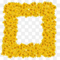 黄色 相框 花朵