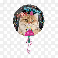 气球 猫 生日