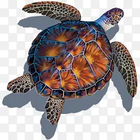 海龟 马赛克 瓷砖
