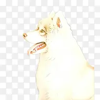 卡通 狗品种 狗