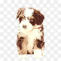 卡通片 骑士查尔斯王猎犬 小狗