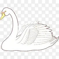 卡通 鸭子 天鹅