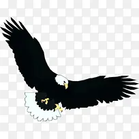 波普艺术 复古 秃鹰