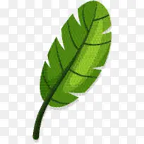 叶 植物茎 树