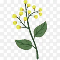 芥菜 草本植物 植物茎