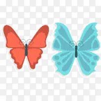 绿松石色 蝴蝶 飞蛾和蝴蝶