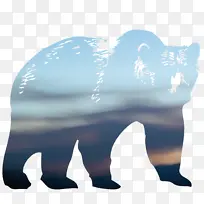 熊 龙 轻雅加米