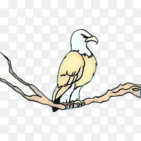 波普艺术 复古 鸟喙