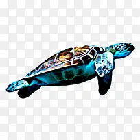 红海龟 海龟 现代海龟