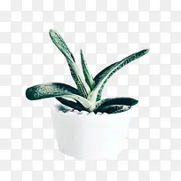 水彩 油漆 湿墨水