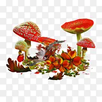 花卉设计 蘑菇 木耳