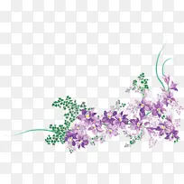 花卉设计 花朵 紫色
