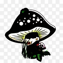 蘑菇 绘画 木耳