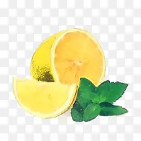 柠檬 黄色 甜柠檬