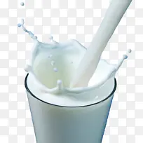 牛奶 食品 乳制品