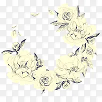 白色 植物 花朵