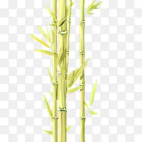 卡通 竹子 植物茎