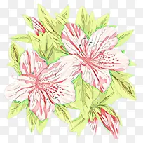 卡通 花卉 夏威夷木槿