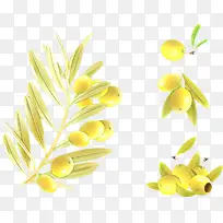 卡通 黄色 植物